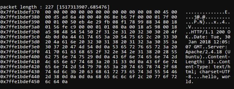 Packet Analysis