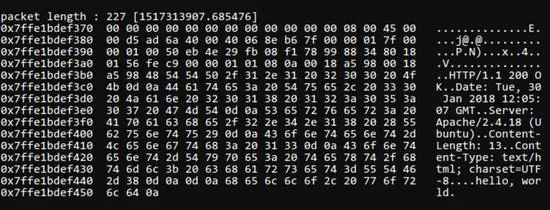 Packet Analysis