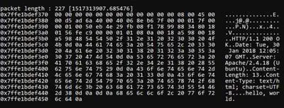 Packet Analysis